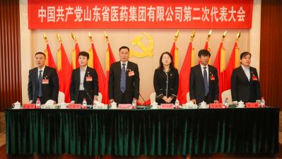 中国龙腾国际棋牌有限公司第二次代表大会关于中共龙腾国际棋牌委员会工作报告的决议